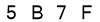 salt-F3EF6536
